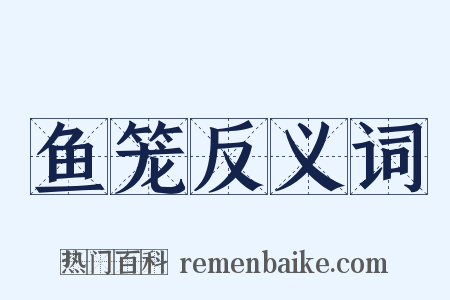 鱼笼反义词是什么意思的图片